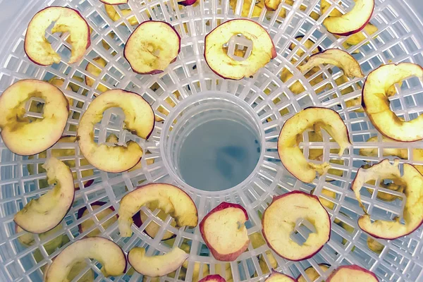 Close-up of slices of dried apples. Sliced fruits are laid out o