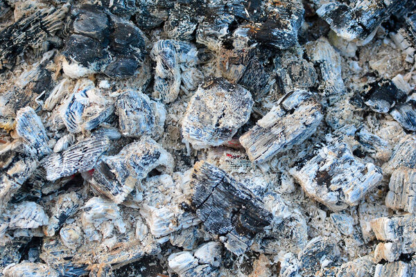 Hot coals covered in ashes. Background after burning fire.