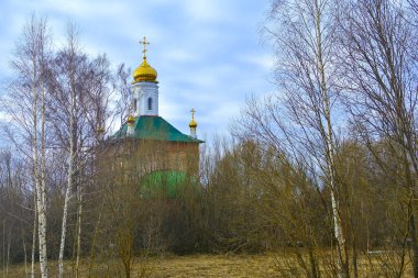 Old church among the trees against the sky.