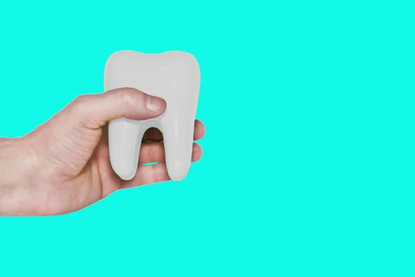 Biały model zęba w dłoni odizolowany na turkusowym tle. Koncepcja higieny, profilaktyki próchnicy, zdrowia zębów. Obiekt dla wszelkich projektów i projektów. Zbliżenie. Kopiowanie spazmy. — Zdjęcie stockowe