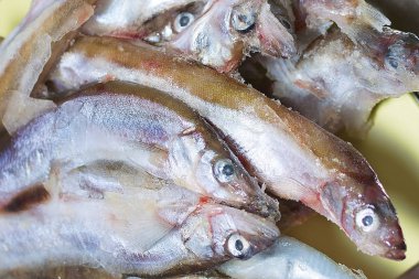 Fresh fish as abstract background. Concept: active rest, healthy food, fresh food.