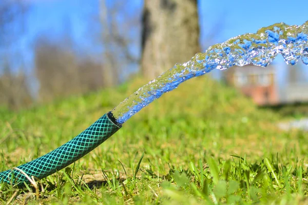A stream of fresh, clean, cool water from a watering hose. Concept: watering plants in the garden, clean water at a country site, Health and Ecology.