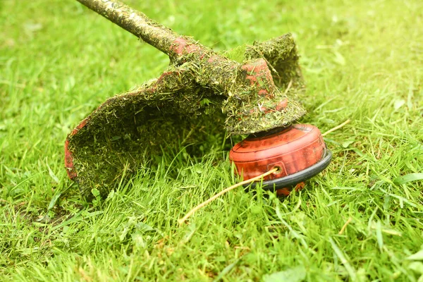 Trimmer chiudere falciare l'erba con un tosaerba. Giardinaggio con — Foto Stock