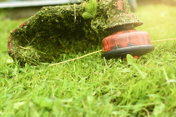 トリマーは芝刈り機で草を刈る。ブラシカッターでのガーデニングクローズアップ。ブラシカッターで芝生の世話 — ストック写真
