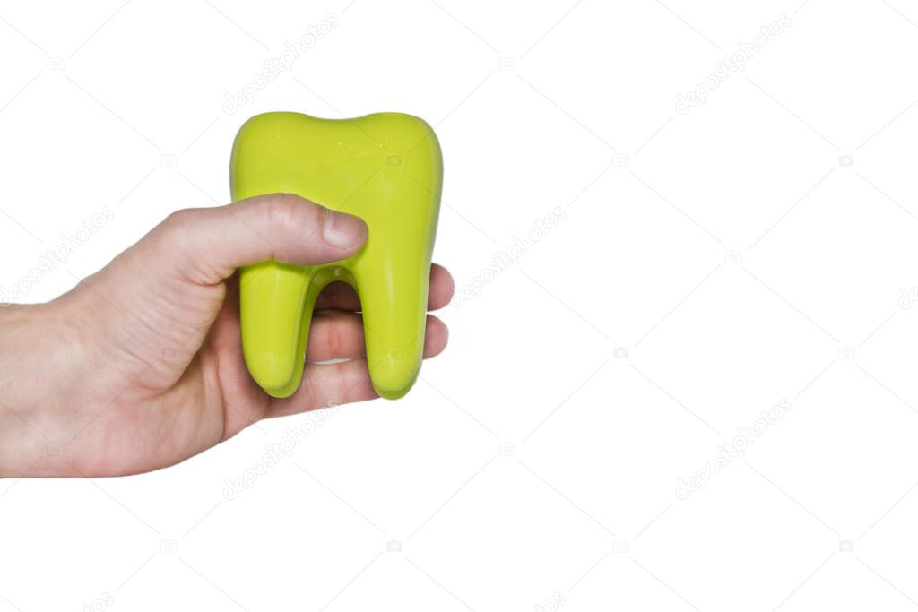 Green tooth model in hand isolated on white background. Concept hygiene, prevention of caries, dental health. Object for any designs and projects. Close-up. Copy spase.