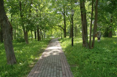 Güneşli bir günde, ağaçların ve sağdaki eski sokak lambalarının arasında kaldırımda. Yumuşak odak
