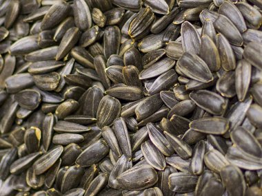 Kavrulmuş ayçekirdeği yakından. kavram: tasarım, arkaplan