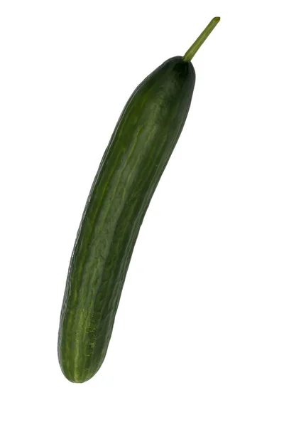 Smooth green cucumber isolated on white. Fresh vegetable grown in a greenhouse. — Stock Photo, Image
