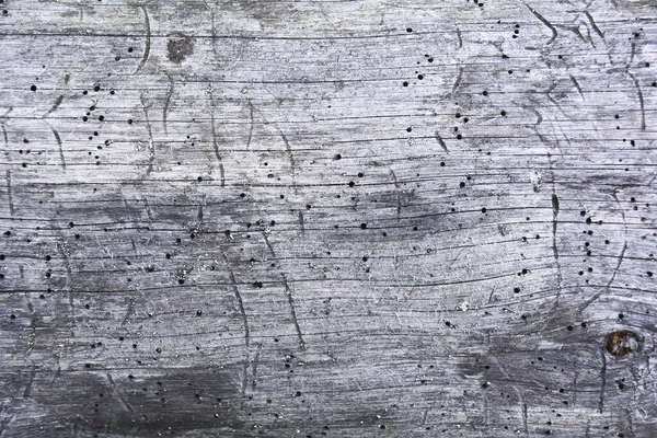 Шматок деревини, атакований черв'яками. Текстура старого гнилого дерева, з'їденого черв'яком. Дерев'яний текстурний фон з тріщинами, з'їденими хробаками. Місце для дизайну . — стокове фото