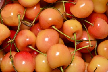 sarı tatlı kiraz yakın plan doğal arka plan