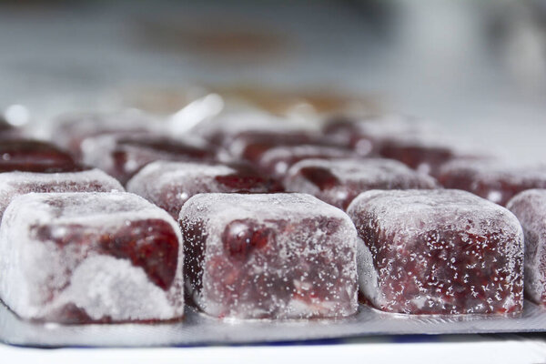 Frozen bloodworm close up. Food for aquarium fish. Freeze bloodworms fish food for aquarium.