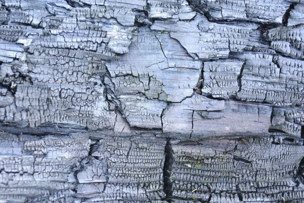 Soft focus. Charred wooden abstract background. Close-up of a hot charred piece of firewood. — 스톡 사진