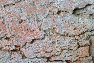 Kırmızı tuğlalı arka plan. Arkaplan, tasarım ve proje için kırmızı tuğla dokusu.