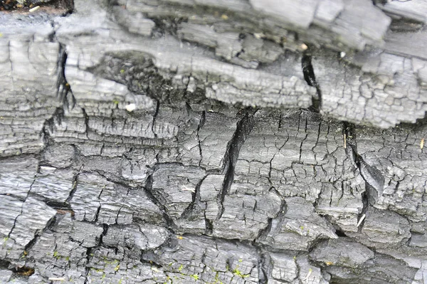 Jemné soustředění. Ohořelé dřevěné abstraktní pozadí. Detailní záběr na rozpálený kus dřeva na podpal. — Stock fotografie