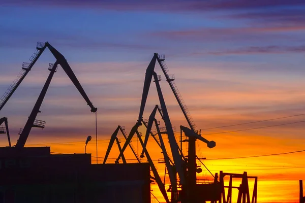 Żurawie portowe na tle zachodzącego słońca. miękkie skupienie — Zdjęcie stockowe