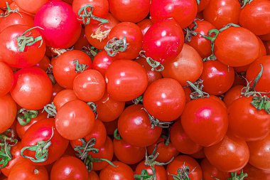 Bir sürü kırmızı domates var. Soyut doğal arkaplan.