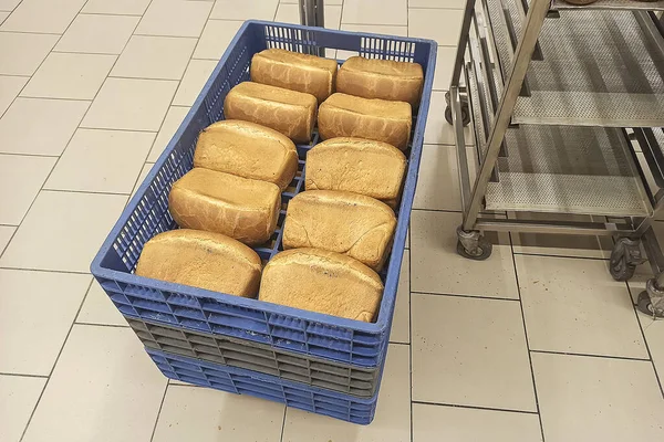 Plastik Bir Kutuda Taze Pişmiş Ekmek Taze Pişmiş Ekmeğin Satılık — Stok fotoğraf