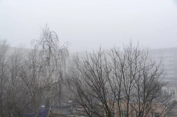 雾中的树木和城镇的房屋 大气图像 项目和设计的背景 — 图库照片