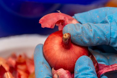 Bir kadın soğan soyuyor. Yukarıdan bak. Mavi lastik eldivenli kadın elleri kuru derinin soğanını soyar..