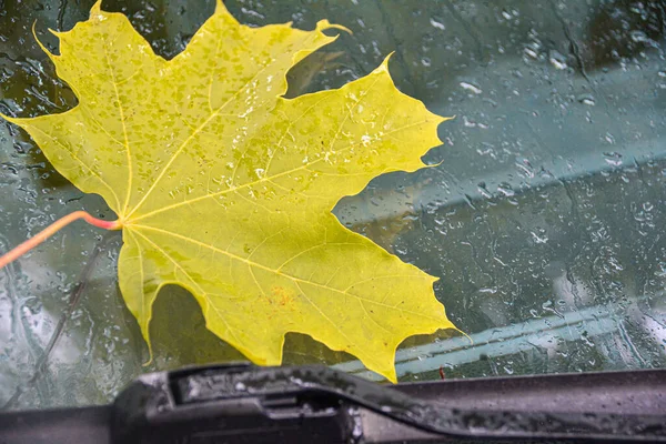 Hoja Arce Amarillo Parabrisas Coche Concepto Otoño Enfriamiento Cambio Estaciones — Foto de Stock