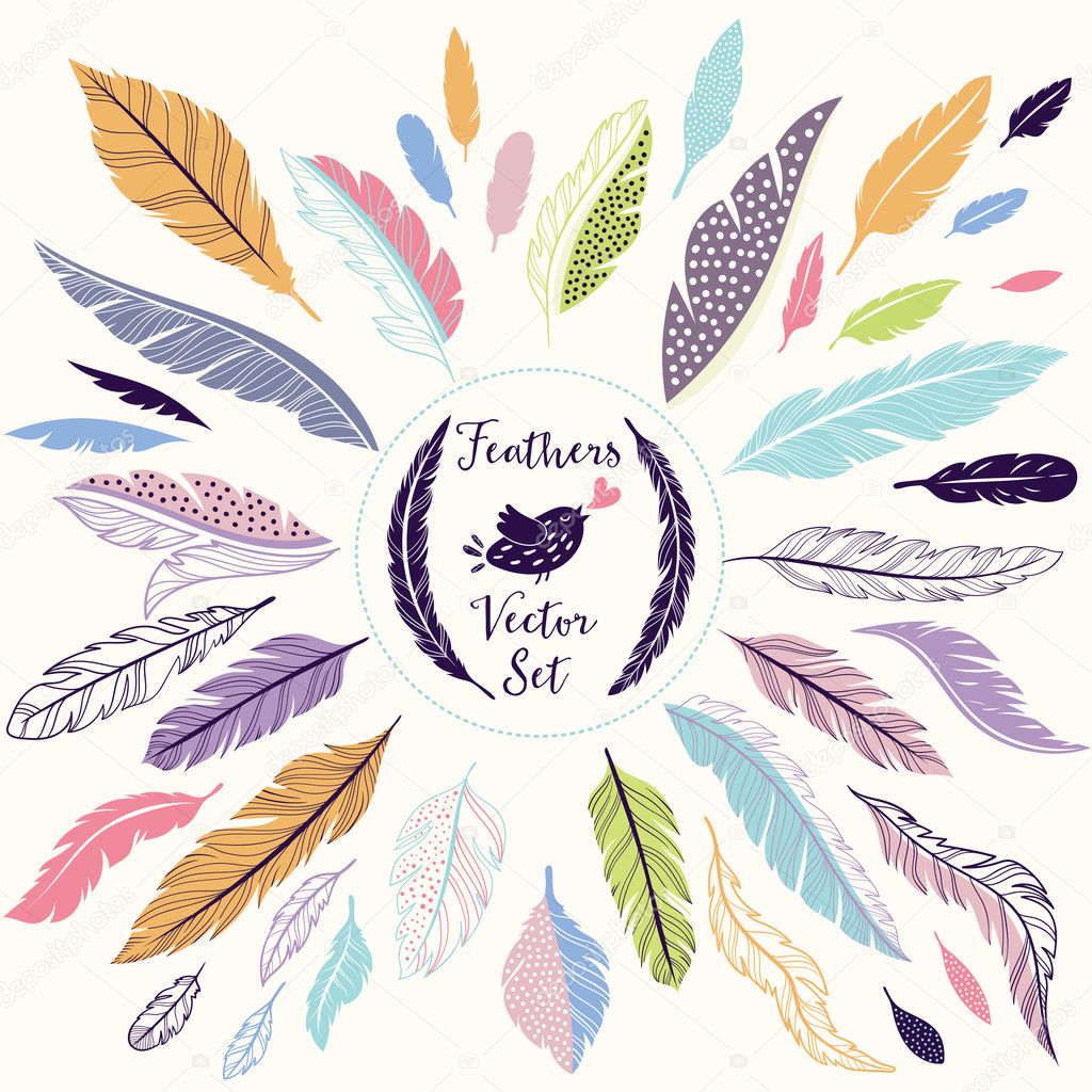 Set of vector feathers for your design