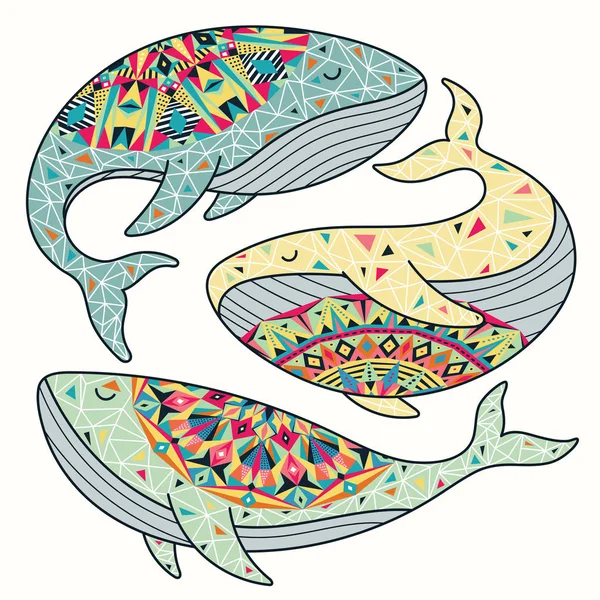 Conjunto de vetores de baleias coloridas — Vetor de Stock