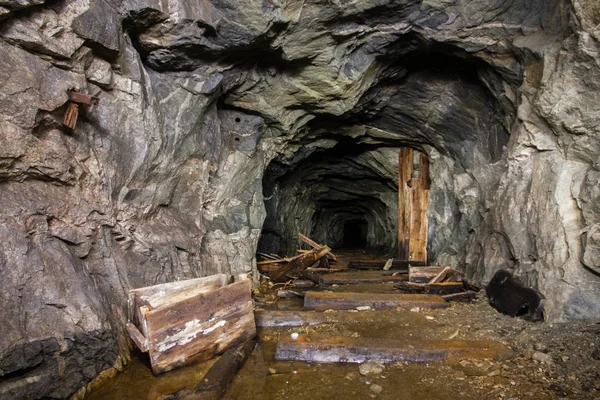 Deriva Del Túnel Del Eje Mina Oro Con Maderas Madera — Foto de Stock