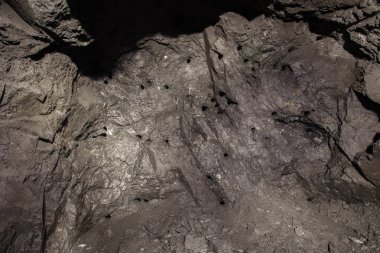 Altın madeni tünelinde sondaj delikleri olan kaya duvarları.