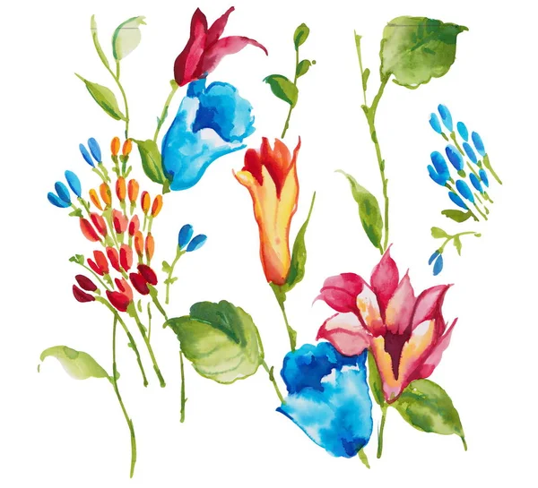Akvarelem malované květiny prvky návrhu — Stock fotografie