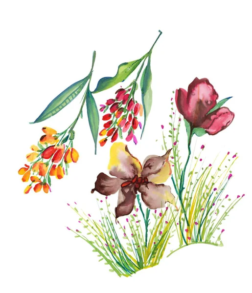 Buntes Aquarell Exklusive Blumen — Stockfoto
