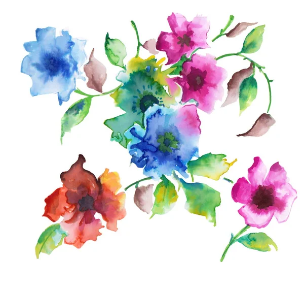 Renkli suluboya Özel çiçekler — Stok fotoğraf