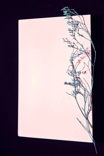 Blue sheet of paper on a black background with a blue branch for romantic greetings                                