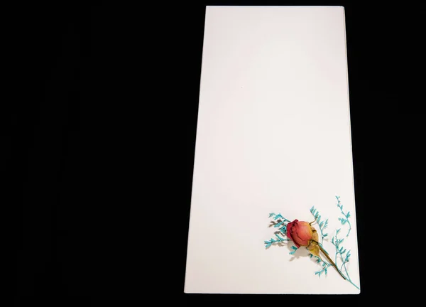 White  paper box  with a small dry rose and a blue branch on a black background                       