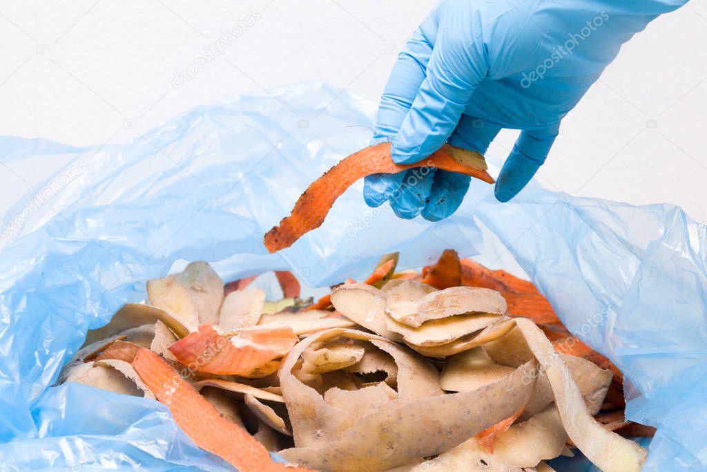 a hand in a rubbery disposable glove puts in a blue bag organic waste, waste sorting, waste recycling