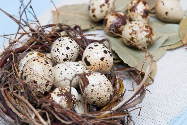 quail eggs in a nest of branches on a blue background, light fabric, Easter background, natural nutrition, bay leaf