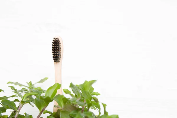 Brosse Dents Bambou Dans Les Feuilles Vert Herbe Fleur Concept — Photo