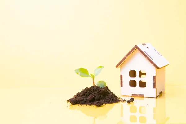 pile of land and a bore next to a small wooden decorative on a yellow background, reflection in glass, copy space, country house concept