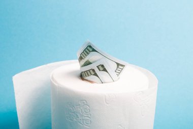 Bir rulo beyaz tuvalet kağıdı ve birkaç banknot. 100 dolar değerinde. Tuvalet kağıdı rulosu içinde para.