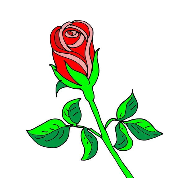 Anaokulu, okul öncesi, okul