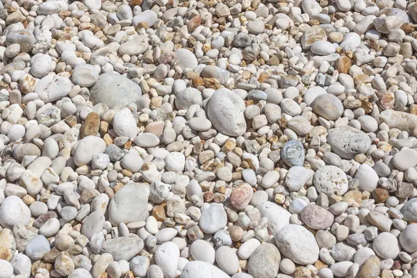 White and colored pebbles background — Stock Photo, Image