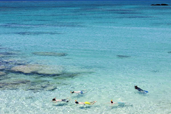 Snorkeling Tropical Water — Stock Photo, Image