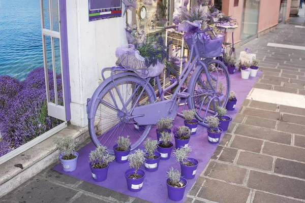 Lavender-colored bicycle and lavender flowers