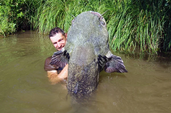 捕鲶鱼 渔夫抱着一条巨大的鲶鱼 — 图库照片