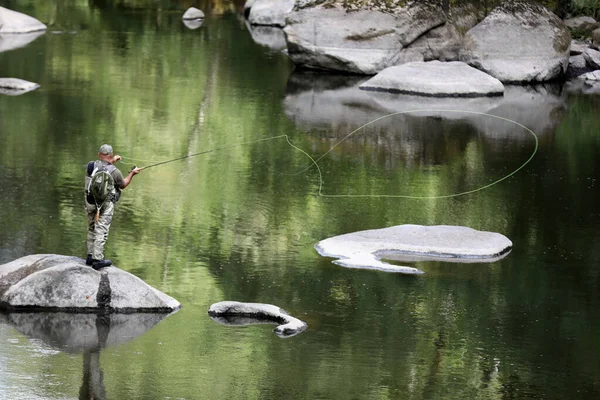 Fly Fishing Scene Freshwater Fishing — Stock Photo, Image