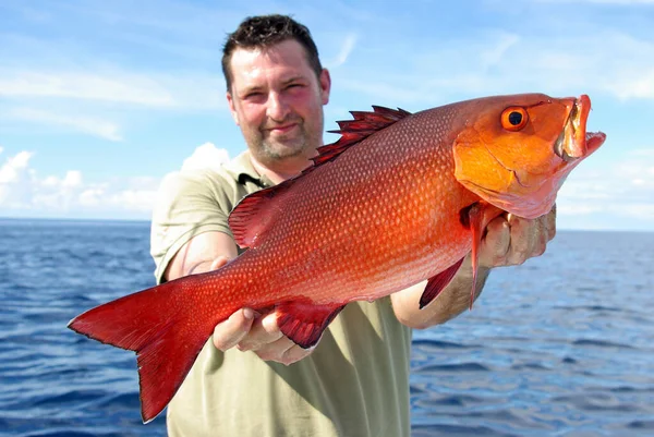 Pesca Alta Mar Captura Peces Hombre Sosteniendo Pez Pargo Rojo Imagen de stock