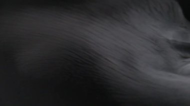 Siyah arkaplanda kuru buzdan duman