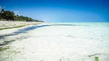 Paje sahilinin beyaz kumları, Zanzibar köyü Unguja, Tanzanya 'nın doğu kıyısında yer alır..