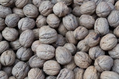 Türkiye'de fındık dükkanında üstten kabuklu kabuklu cevizler