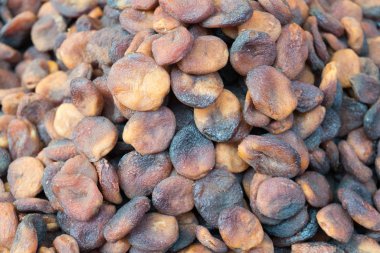 Türkiye'de Fındık Dükkanında Kuru Kayısı Yığını