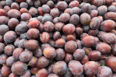 Satılık Pazar Durak Taze Kırmızı Erik Stack